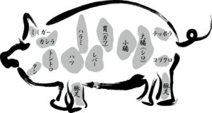 豚テッポウの部位とおいしい食べ方・焼き方は？トロトロ感が魅力！ | 焼肉の部位とおいしい焼き方・食べ方